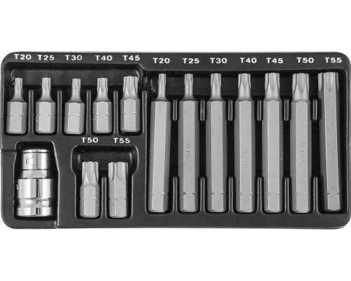 Набор вставок-бит 10 мм TORX® (30 и 75 мм), Т20-Т55, 15 предметов